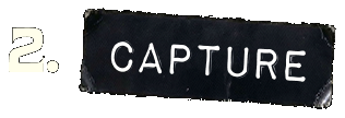 Capture